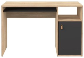 Biurko z blatem w dekorze dębu 50x115 cm Oxford – TemaHome