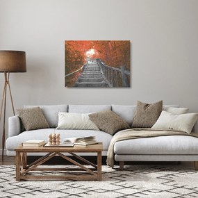 Obraz na szkle - Schody w naturze, pomarańczowy (70x50 cm)