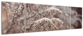 Obraz roślin (170x50 cm)