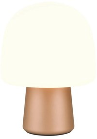Biało-brązowa lampa stołowa ze szklanym kloszem (wysokość 27 cm) Steen – Trio