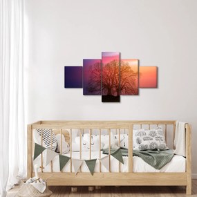 Obraz drzew we mgle (125x70 cm)