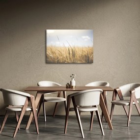 Obraz ziarna (70x50 cm)