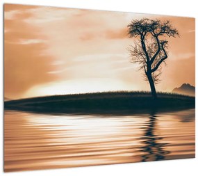 Obraz drzewa na wyspie (70x50 cm)