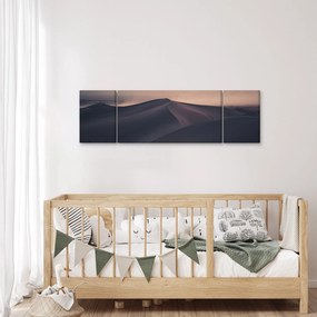 Obraz - Wydmy piaskowe (170x50 cm)