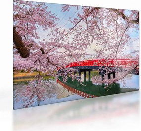Obraz na szkle - Hirosaki, Japonia (70x50 cm)