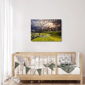 Obraz na szkle - Kwitnące drzewo w krajobrazie (70x50 cm)