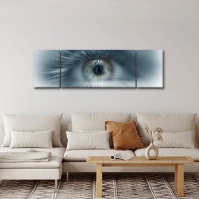 Obraz - Widok oka (170x50 cm)