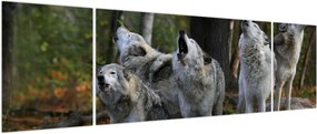 Obraz - Wilki na skale (170x50 cm)