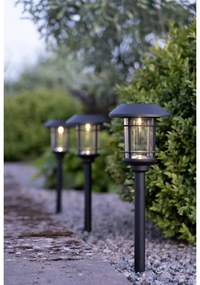 Zestaw 3 ogrodowych lamp solarnych LED Star Trading Fride, wys. 34 cm