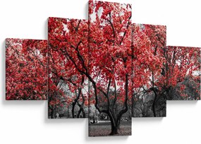 Obraz - Czerwone drzewa, Central Park, New York (125x70 cm)