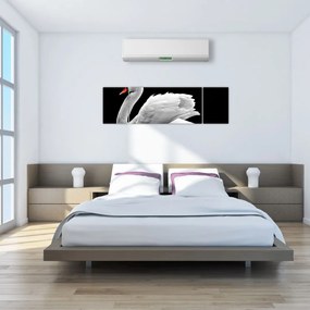 Obraz czarno - białego łabędzia (170x50 cm)