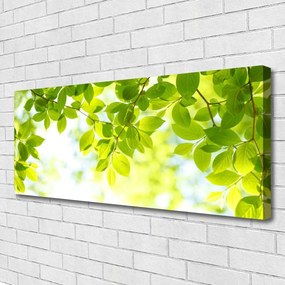 Obraz na płótnie Świeże Zielone Liście