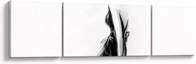Obraz - Ilustracja mody (170x50 cm)