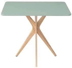 Stół CUTTI 55x80 szałwiowy/jesion RAGABA