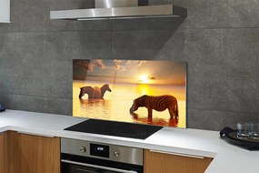 Szklany Panel Zebry przy Wodopoju o Zmierzchu