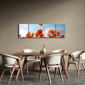 Obraz - Łąkowe kwiaty (170x50 cm)
