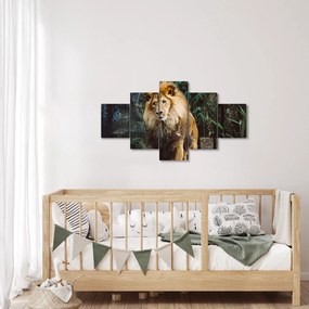 Obraz lwa w naturze (125x70 cm)