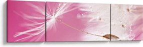 Obraz - Makro kwiat (170x50 cm)