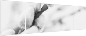 Obraz - Początek wiosny (170x50 cm)