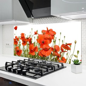 Panel Kuchenny Polne Maki W Słońcu