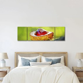 Obraz kasztanowów (170x50 cm)