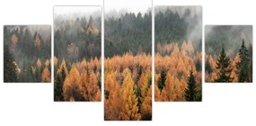 Obraz - Jesienny las (125x70 cm)