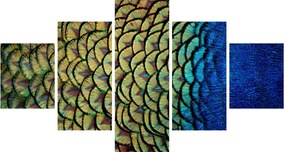 Obraz - Pawie pióra (125x70 cm)