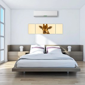 Obraz żyrafy (170x50 cm)