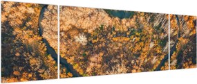 Obraz - Rzeka w kształcie serca (170x50 cm)