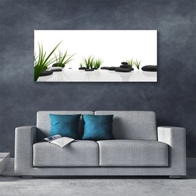 Zdjęcie na płótnie Kamienie w Soczystej Trawie