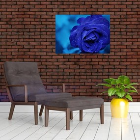 Obraz niebieskiej róży (70x50 cm)