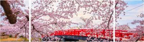 Obraz - Hirosaki, Japonia (170x50 cm)