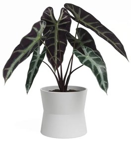 Ceramiczna doniczka ø 14 cm Diana – Artevasi