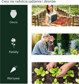 Szklarnia Outsunny, szklarnia z drzwiami, chłodnia, domek dla roślin, szkółka roślin, stal PVC, 200 x 100 x 80 cm