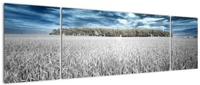 Obraz pola (170x50 cm)