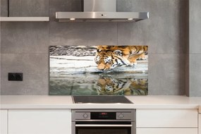 Szklany Panel Tygrys Pijący ze Strumienia
