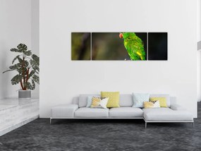 Obraz papugi na gałęzi (170x50 cm)