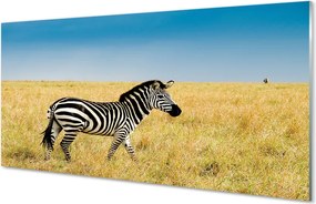 Panel nad Blat Kuchenny Samotna Zebra na Polu