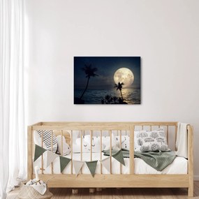 Obraz - Plaża pod pełnią księżyca (70x50 cm)