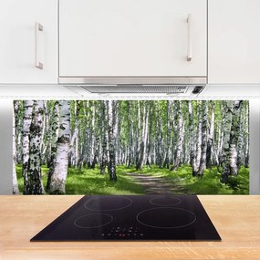 Panel Kuchenny Ścieżka Przez Słoneczny Las