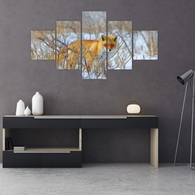 Obraz - Lis (125x70 cm)