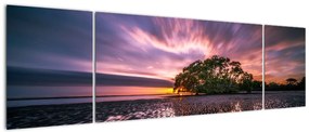 Obraz plaży o zachodzie słońca (170x50 cm)