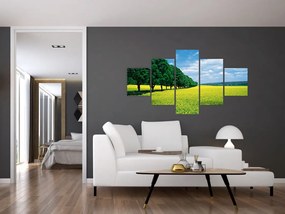 Obraz pola z aleją (125x70 cm)
