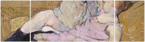 Obraz - Henri de Toulouse-Lautrec, The Sofa, reprodukcje (170x50 cm)