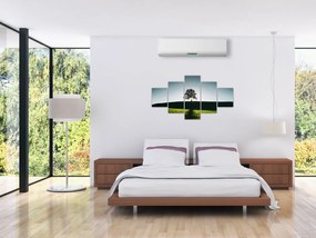 Obraz natury - drzewo (125x70 cm)
