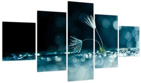 Obraz - Makro (125x70 cm)