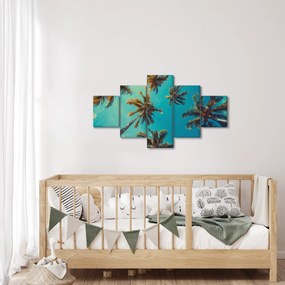 Obraz - Wysokie palmy (125x70 cm)