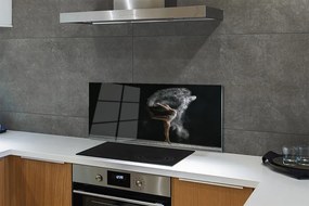 Panel szklany do Kuchni Kobieta w Oparach Dymu