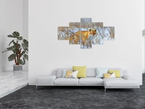 Obraz - Lis (125x70 cm)