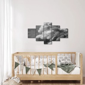 Obraz - trawa z króliczym ogonkiem na stole (125x70 cm)